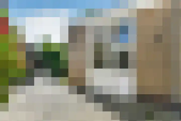 Mozartstraat 76 Elst thumbnail 36