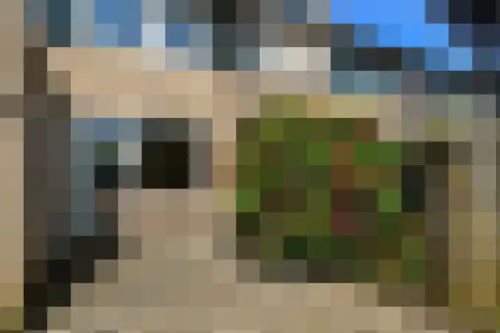 Mozartstraat 76 Elst thumbnail 39