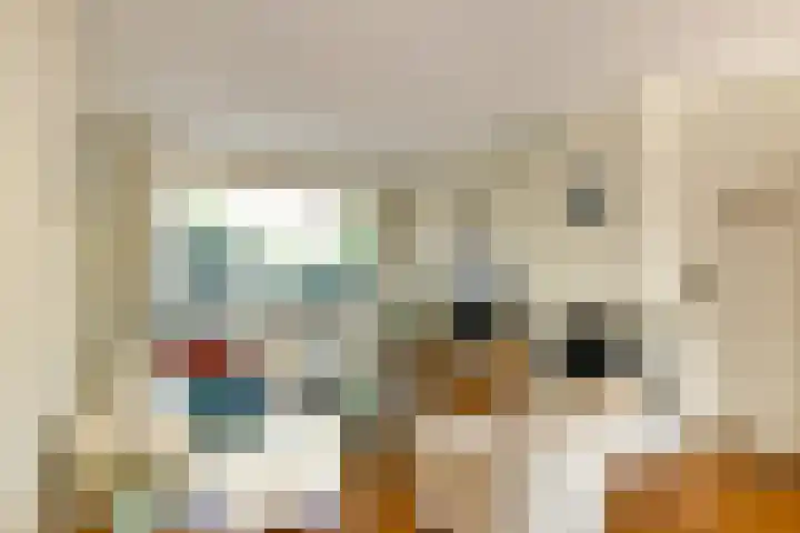 Mozartstraat 76 Elst thumbnail 5