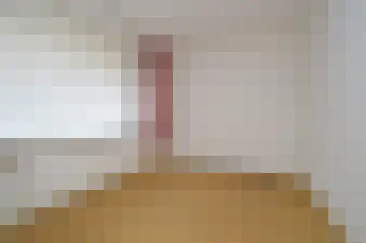 Mozartstraat 87 Deurne thumbnail 12