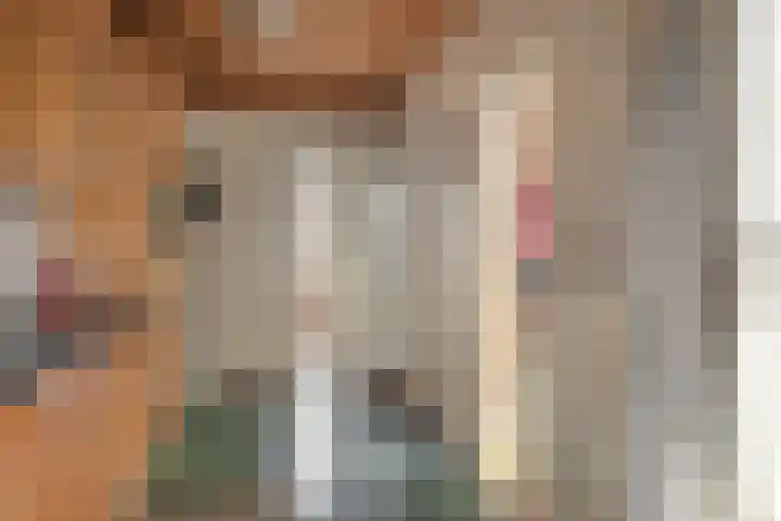 Mr G Schotstraat 10 Franeker thumbnail 10