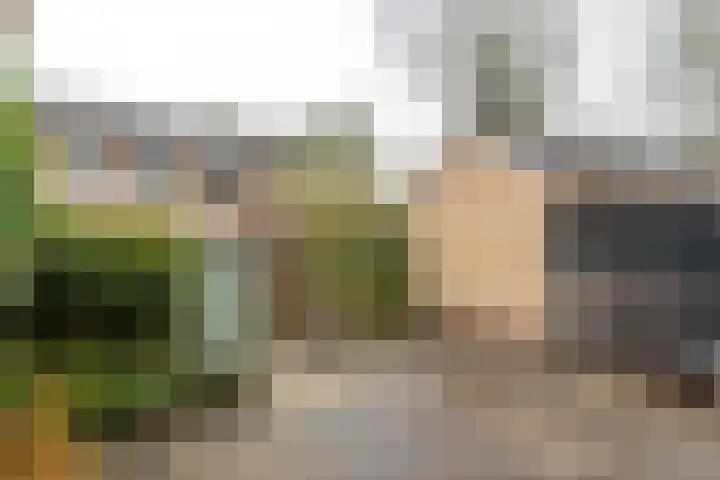 Mr G Schotstraat 10 Franeker thumbnail 21