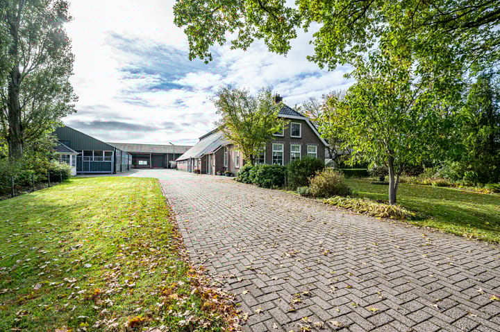 Mr JB Kanlaan 42 in Punthorst