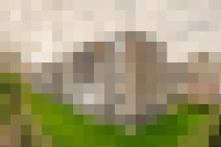 Mr. Kesperweg 108 Ridderkerk thumbnail 29