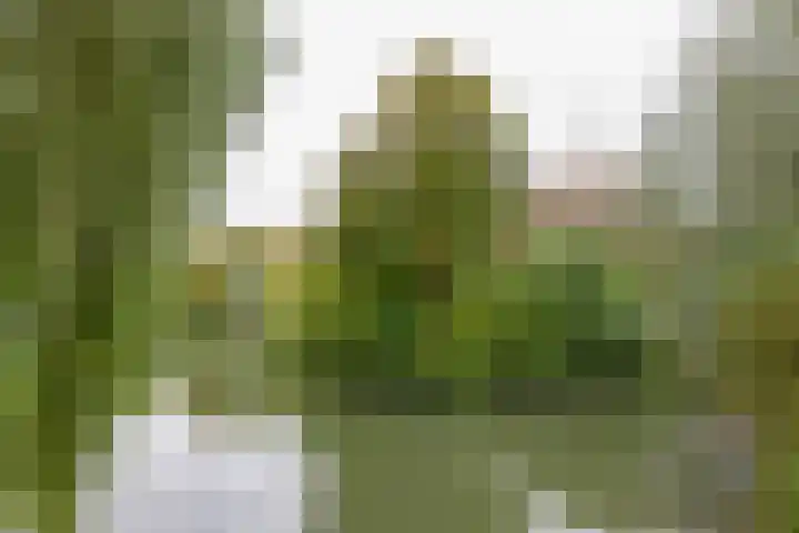 Mr. Kesperweg 84 Ridderkerk thumbnail 33