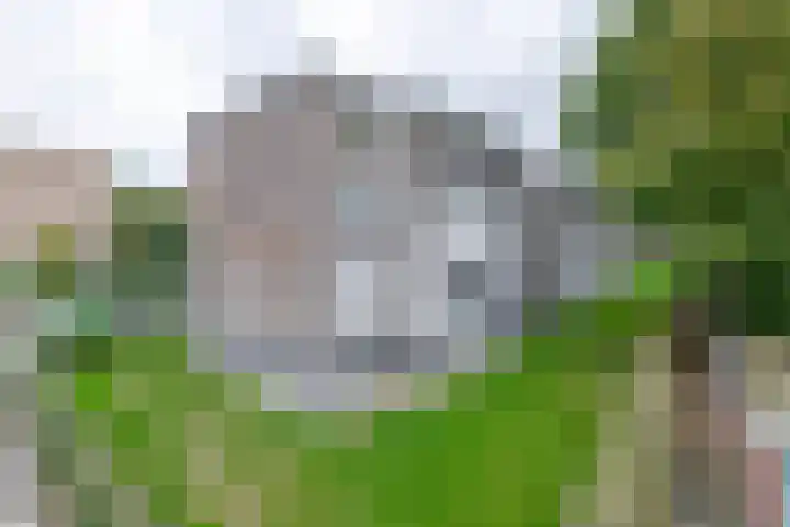 Mr. Kesperweg 84 Ridderkerk thumbnail 8