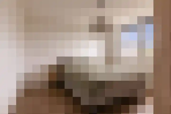 Mr. P.J. Oudsingel 101 Arnhem thumbnail 16
