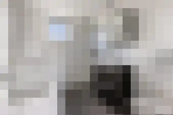 Mr. P.J. Oudsingel 101 Arnhem thumbnail 19