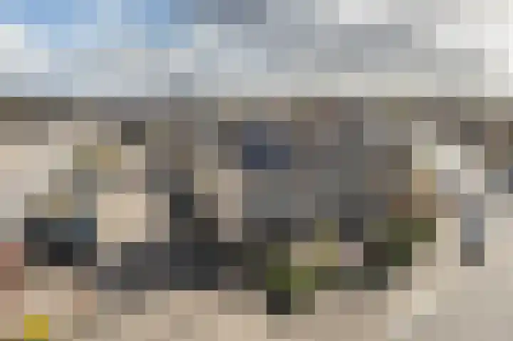 Mr. P.J. Oudsingel 101 Arnhem thumbnail 29