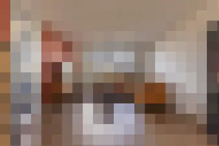 Mr. P.J. Oudsingel 101 Arnhem thumbnail 7