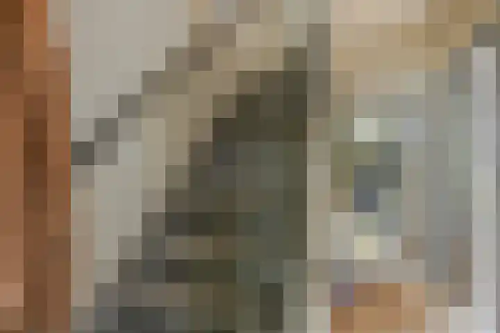 Mr. Piersonstraat 7 Ridderkerk thumbnail 7