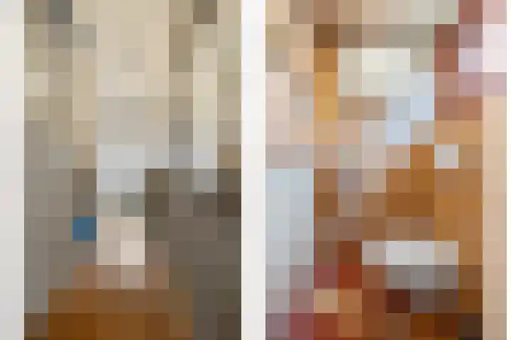 Mr. van Coothstraat 3 Druten thumbnail 24