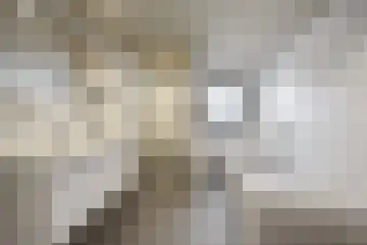 Mr. van Coothstraat 3 Druten thumbnail 27