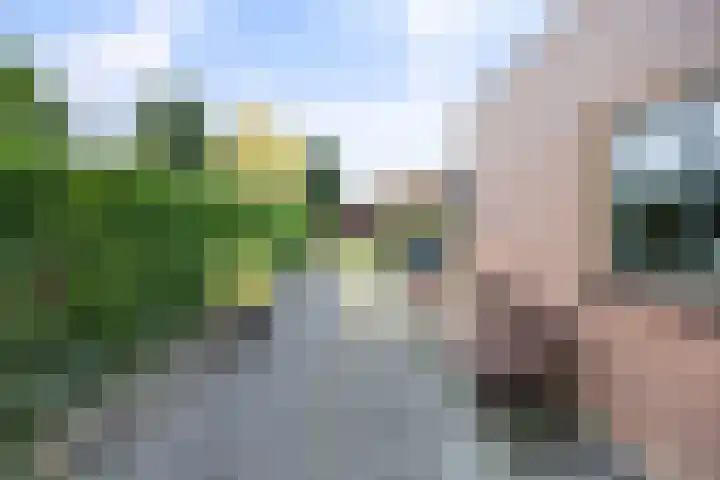 Mr. van Coothstraat 3 Druten thumbnail 44