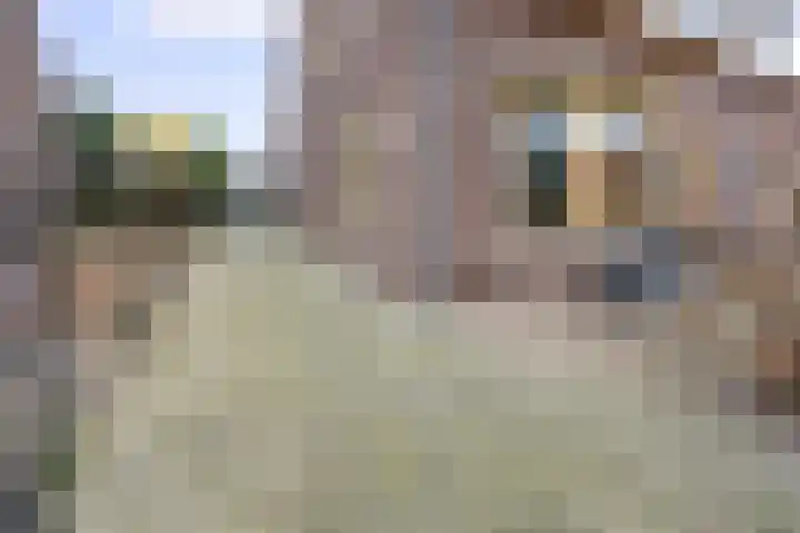 Mr. van Coothstraat 3 Druten thumbnail 51