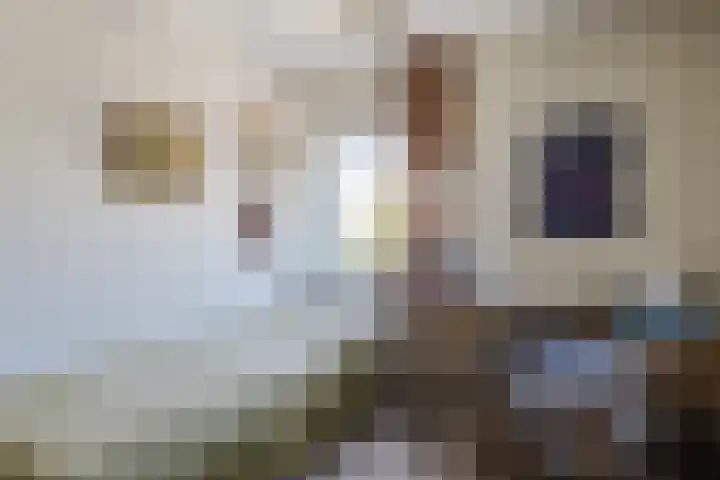 Mr. van Coothstraat 32 Veghel thumbnail 30