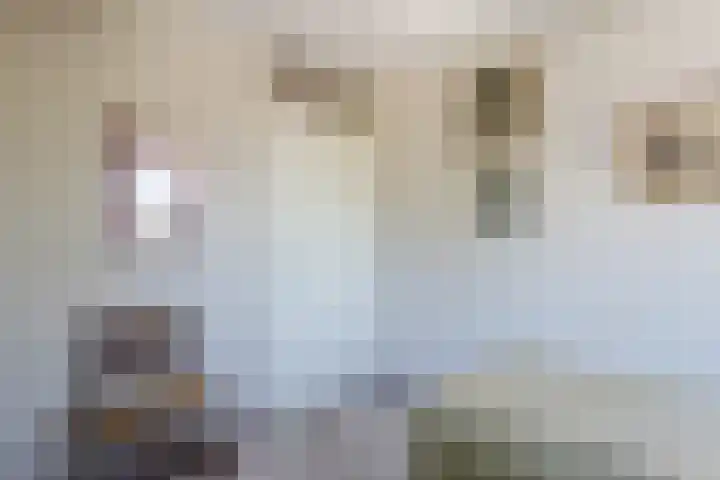 Mr. van Coothstraat 32 Veghel thumbnail 31
