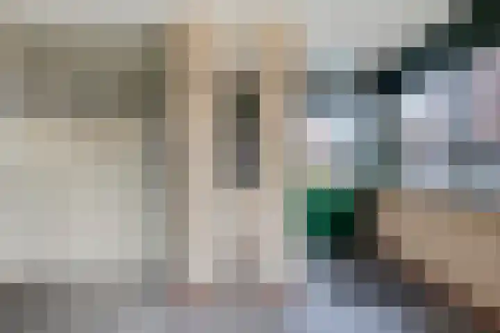 Mr. van Coothstraat 8 Veghel thumbnail 7