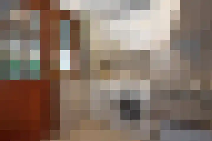 Mr Visserstraat 8 Delden thumbnail 32