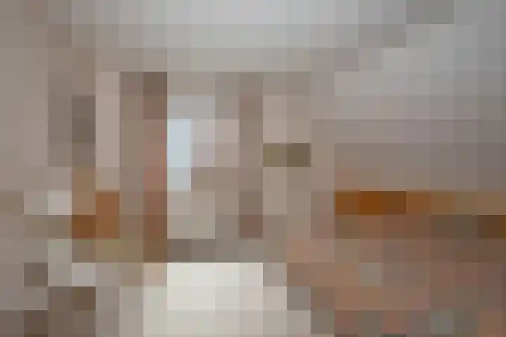 Mr Visserstraat 8 Delden thumbnail 40