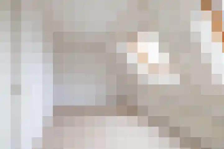 Mudaheerd 68 Groningen thumbnail 25