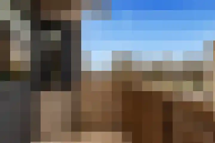 Mudaheerd 68 Groningen foto 3