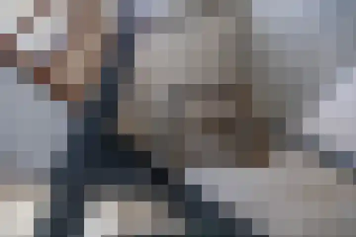 Mudaheerd 68 Groningen thumbnail 36