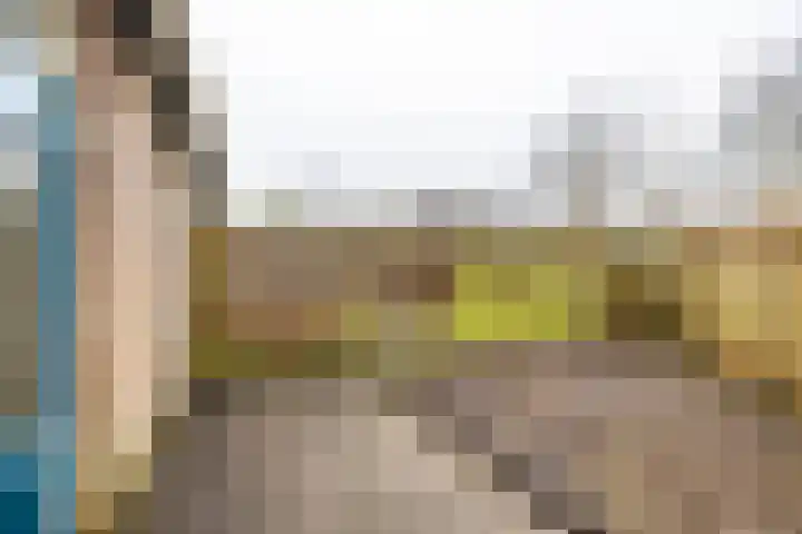 Mudaheerd 68 Groningen thumbnail 45