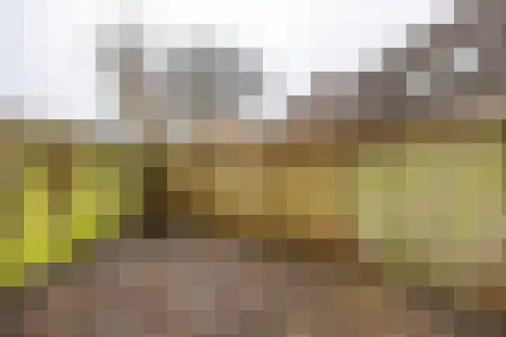 Mudaheerd 68 Groningen thumbnail 49