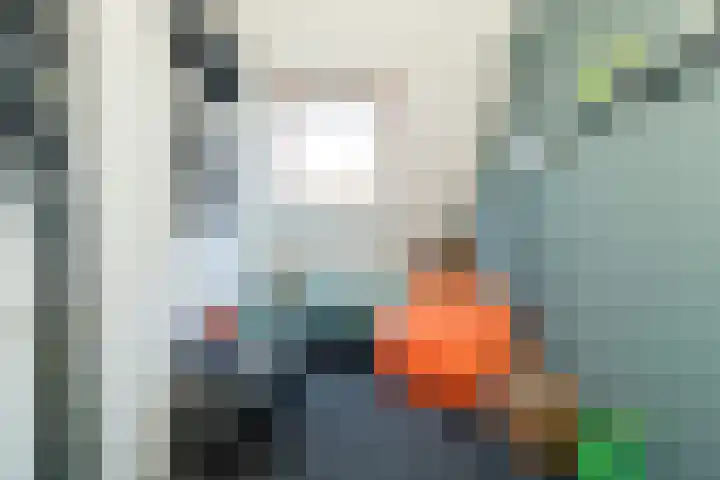Mudaheerd 68 Groningen thumbnail 52