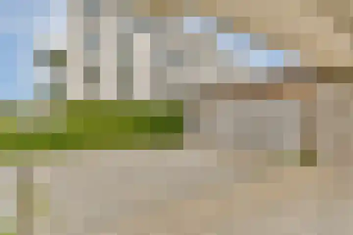 Mudaheerd 68 Groningen thumbnail 53