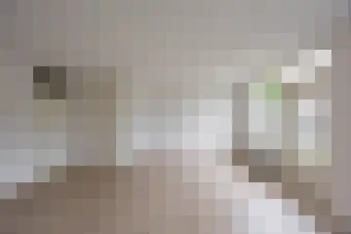 Mudaheerd 75 Groningen thumbnail 10