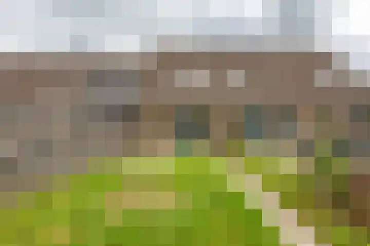 Mudaheerd 75 Groningen thumbnail 17