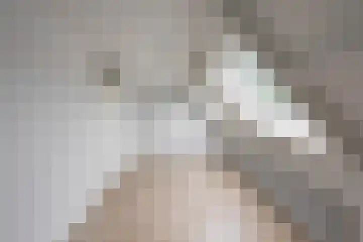 Mudaheerd 75 Groningen thumbnail 22
