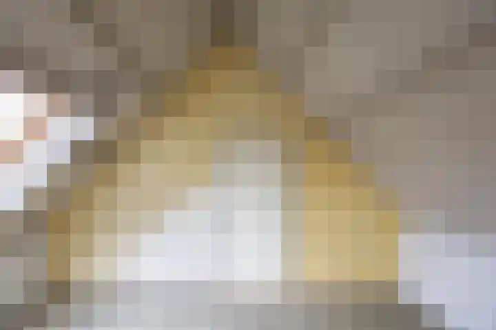 Mudaheerd 75 Groningen thumbnail 30