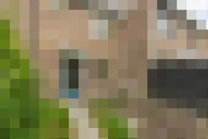 Mudaheerd 75 Groningen thumbnail 4