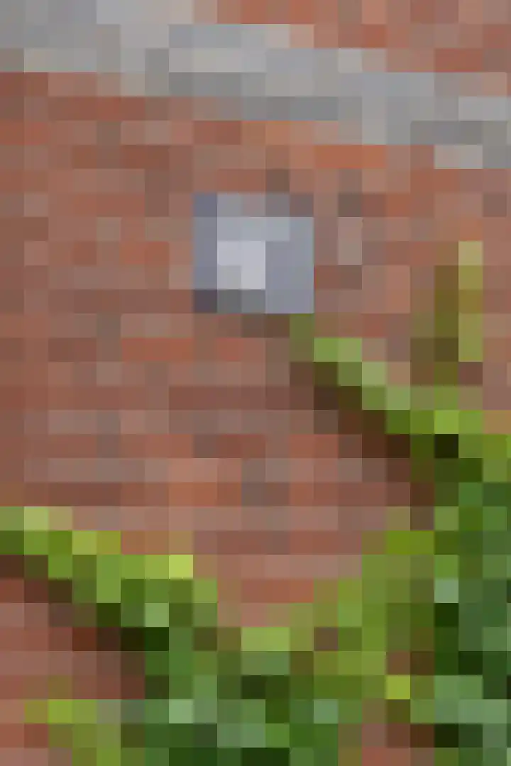 Kantoor foto van Mudde Makelaardij