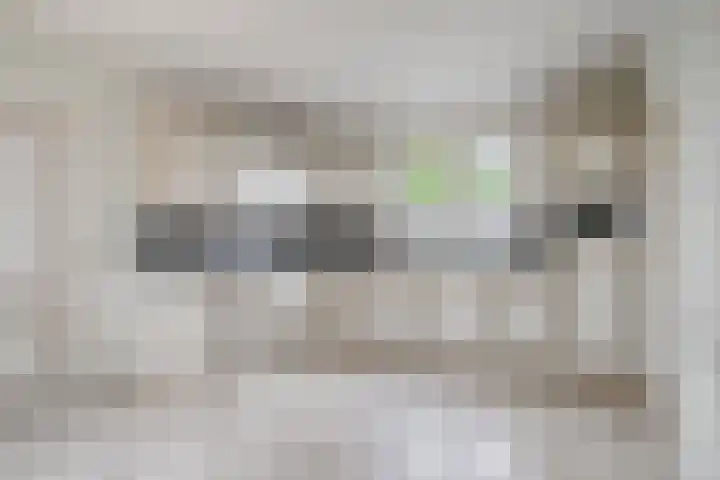 Muggenhol 31 Veldhoven thumbnail 21