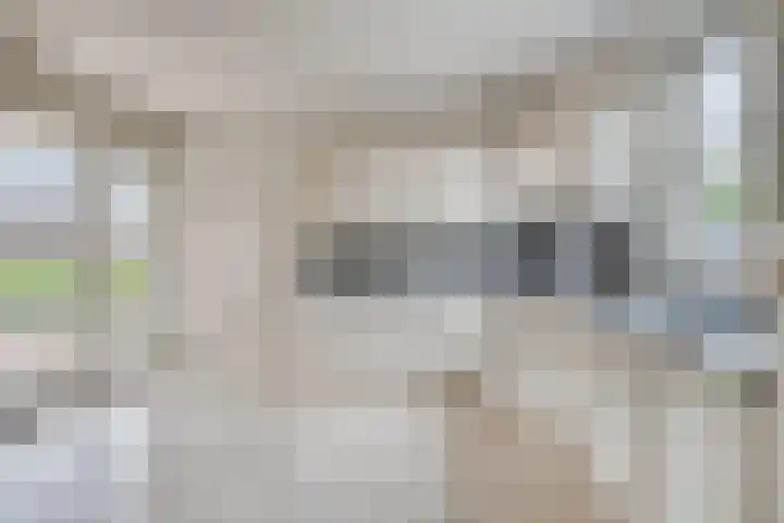 Muggenhol 31 Veldhoven thumbnail 22