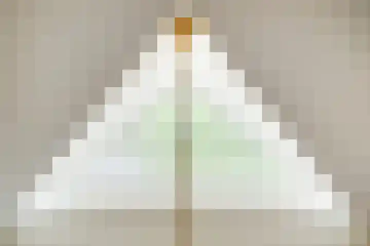 Muggenhol 31 Veldhoven thumbnail 33