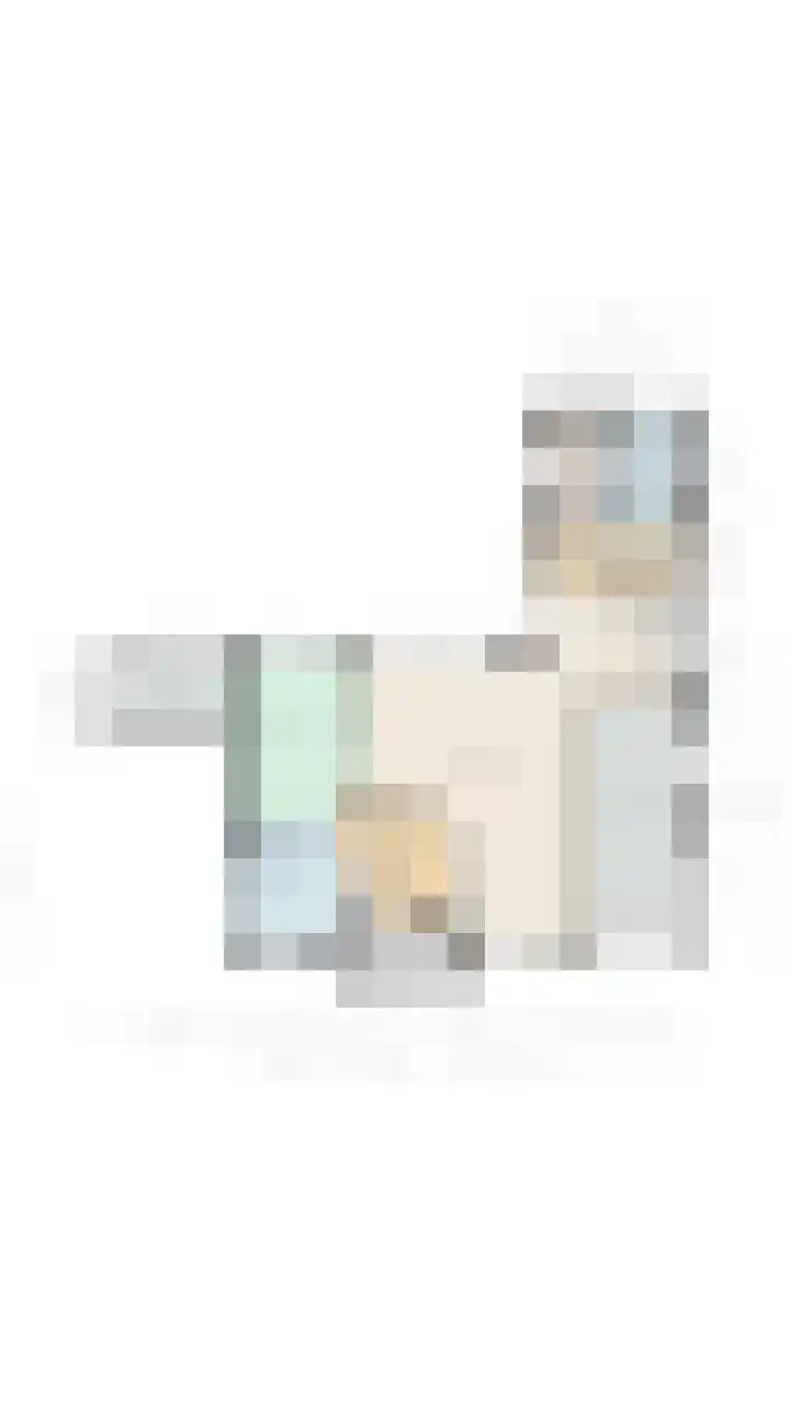 Muggenhol 31 Veldhoven thumbnail 66