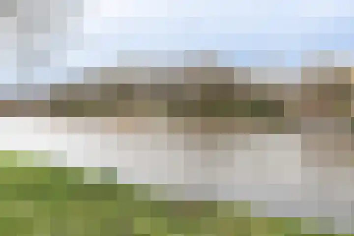 Muiderbos 184 Hoofddorp thumbnail 30