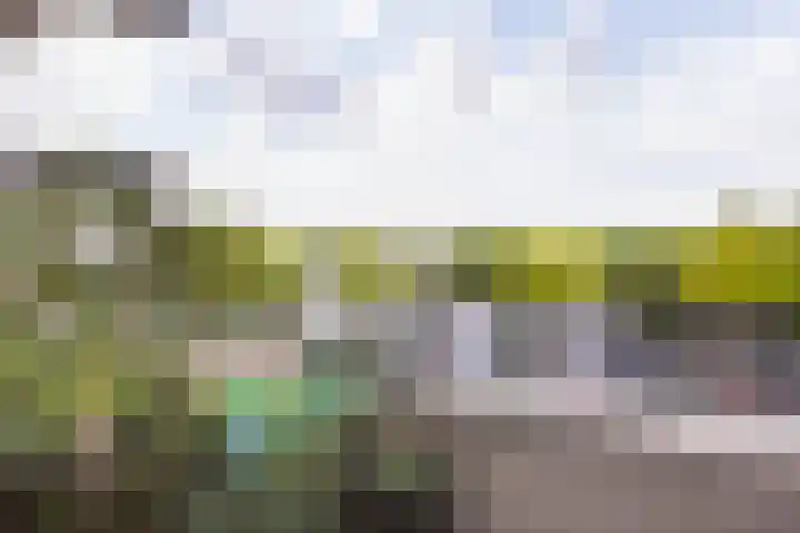 Muiderbos 194 Hoofddorp thumbnail 12