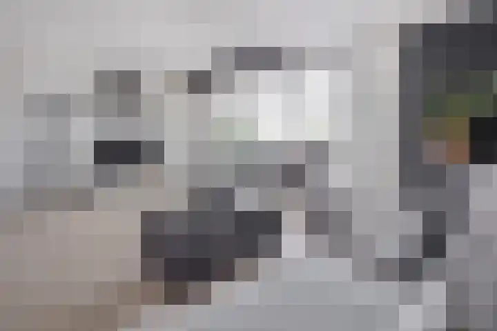 Muiderbos 194 Hoofddorp foto 2