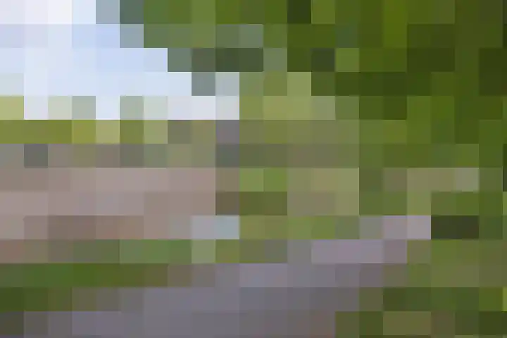Muiderbos 194 Hoofddorp thumbnail 22
