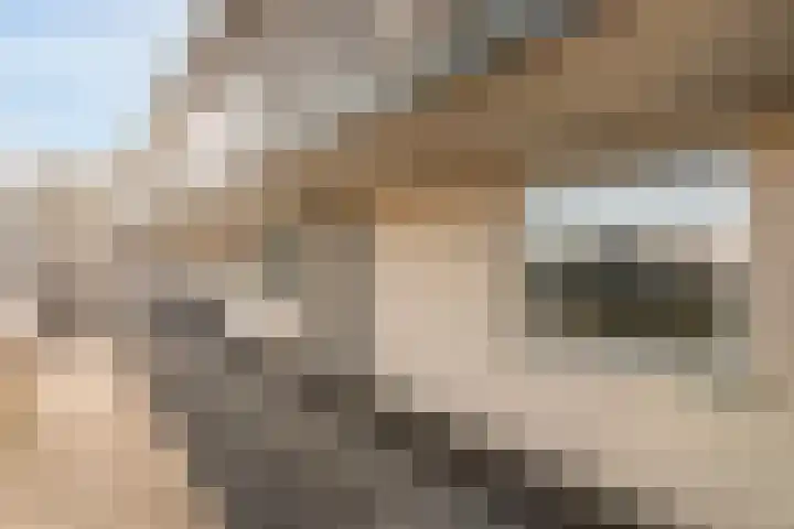 Muiderbos 38 Hoofddorp thumbnail 5