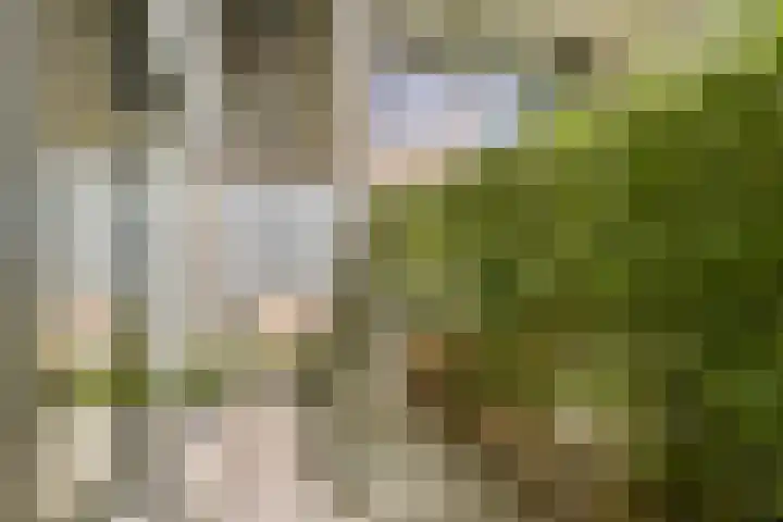 Muiderlaan 355 Amsterdam thumbnail 14