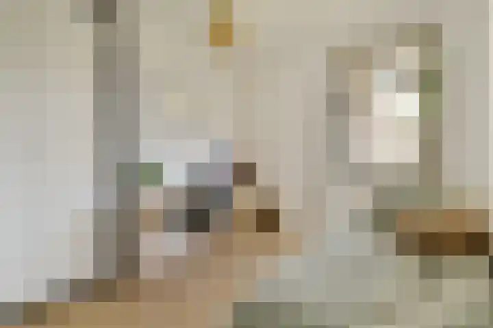 Muiderlaan 355 Amsterdam thumbnail 23
