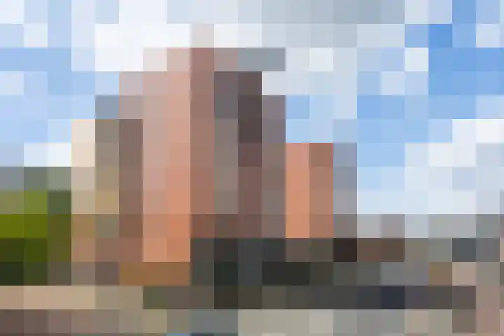 Muiderlaan 355 Amsterdam thumbnail 24