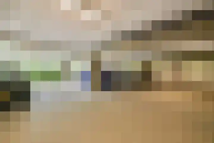Muiderlaan 355 Amsterdam thumbnail 25